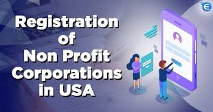 NEW NON-PROFIT CORPORATION